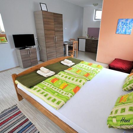 Apartments Svetlica Backi Petrovac Exterior foto